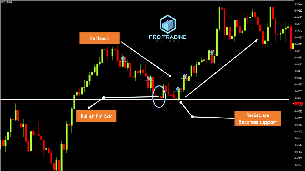 Pin Bar Trading Strategies that Work Pro Trading School