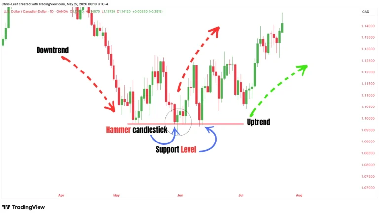 Hammer candlestick pattern on a trading chart showing a bullish reversal signal