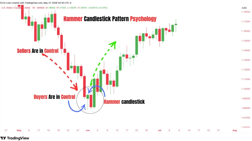 Hammer candlestick pattern psychology explained on a trading chart