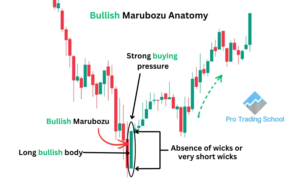 Bullish Marubozu candlestick anatomy showing a long bullish body with little to no upper or lower shadows.