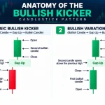 Bullish Kicker Candlestick Pattern showing the classic formation and bullish variation