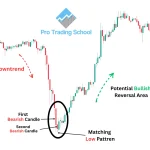Matching Low candlestick pattern showing a potential bullish reversal